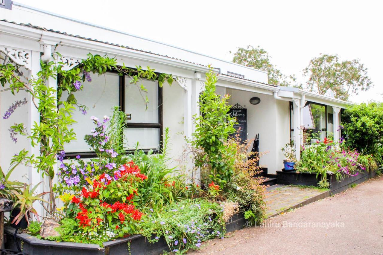 Le Chalet Waiheke Apartments Ostend Екстер'єр фото